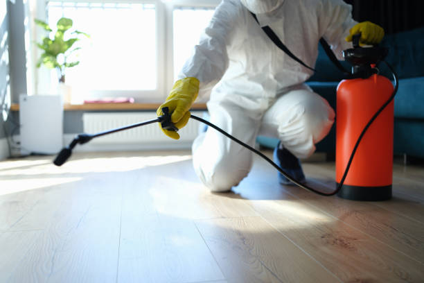 Reliable Biohazard Cleanup contractor in Saint Stephen, SC by Crime Scene Cleaner Online